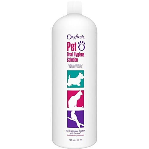 Oxyfresh Pet Oral Hygiene Solution Dog and Cat Water Additive for Bad Breath