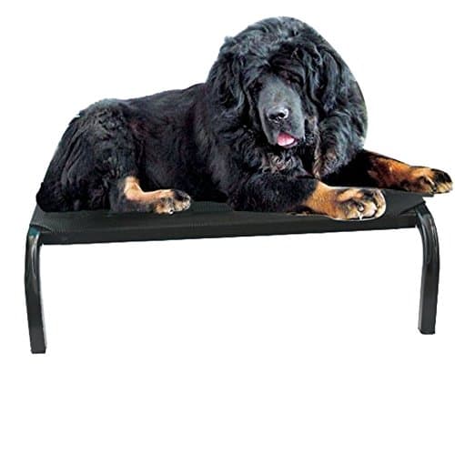 Iron Frame Dog Beds for Large/Medium Dogs Clearance Prime Waterproof Removable E-Installation Oudoor/Indoor
