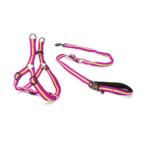 DoggieKit Pull-Proof Dog Leash &amp; No-Choke Harness Combination Set, Thick Nylon Ribbon Walking Safety Combo for Small, Medium &amp; Large Dogs (L, Green on Purple)
