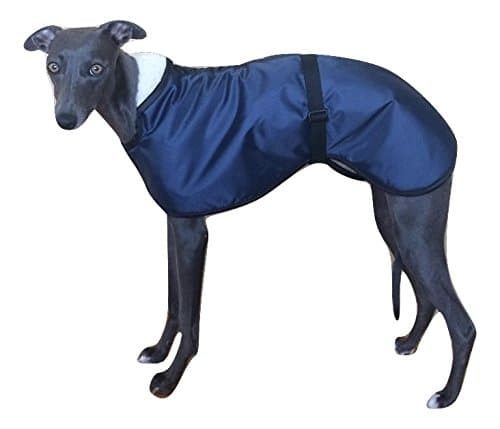4 COLOURS Fleece Lined Waterproof Dog Coat 5 SIZES with Adjustable Clip Strap Whippet/ Greyhound/ Lurcher/ Italian Greyhound/ Sighthound (XLarge, Navy)