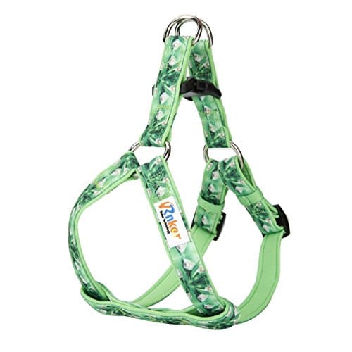 Rnker Step-in Harnesses, no pull, flowers pattern by hot stamping, Neoprene Padded, adjustable walking, training dog Harness for small dogs (Green)