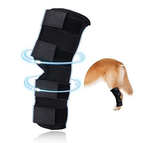 Dog Canine Rear Hind Leg Brace, Extra Supportive Hock Joint Wrap Protects Wounds When Heals, Back Leg Compress Brace Prevents Injuries and Sprains, Helps with Loss of Stability Caused by Arthritis