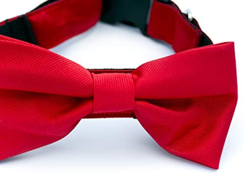 PawsAttire LLC Bow Tie Dog Collar - Available in Many Sizes and Patterns.