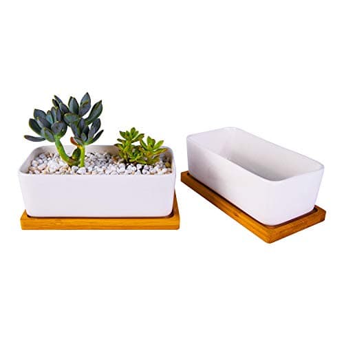 6.5 inch Ceramic Rectangle Succulent Planter with Bamboo Saucer Tray, Set of 2, White Modern Indoor Cactus/Flower Plant Pot with Drainage, Decoration for Desks/Bookshelves / Window Sills (A)