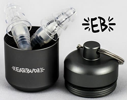 Earbudz High Fidelity Ear Plugs
