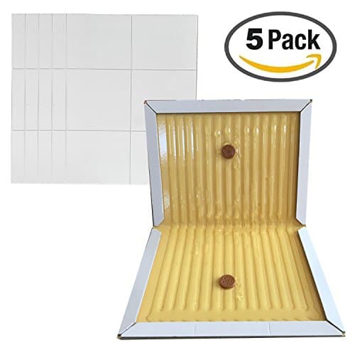 KChoies 5 Pack Thickened Extra Strength Large Mice Rats Insects Sticky Striped Glue Traps, Peanut Butter Scented Indoor Outdoor Mouse Glue Boards, Yellow Glue