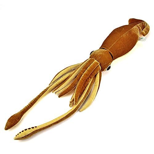 Real stuffed giant squid size M (japan import) by Karorata stuffed