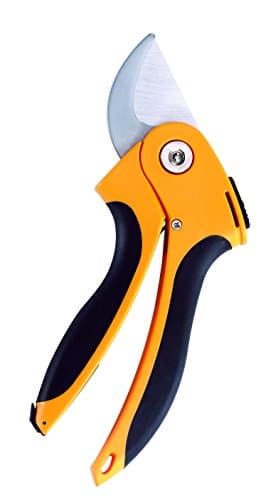 Ascend ToolsProfessional Garden Bypass Hand Pruning Shears 8 inch - Extra Sharp Secateurs, Rust Proof, Safety Lock, Ergonomic, Japanese Steel, Hardened Blades