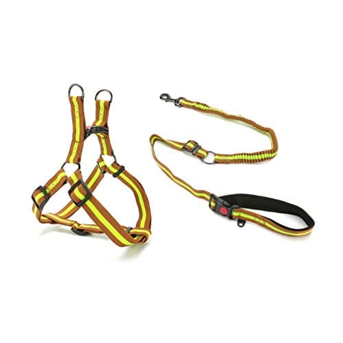 DoggieKit Pull-Proof Dog Leash &amp; No-Choke Harness Combination Set, Thick Nylon Ribbon Walking Safety Combo for Small, Medium &amp; Large Dogs (S, Green on Brown)