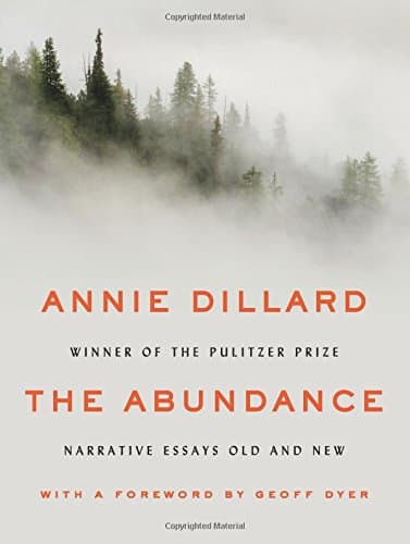 The Abundance: Narrative Essays Old and New