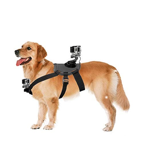 NEWTTY KAY Dog Harness Mount Chest Strap Mount for Hero 6/5 /5/4/3+ Session DBPOWER AKASO VicTsing APEMAN WiMiUS Rollei QUMOX Lightdow Campark Sony Sports DV and More