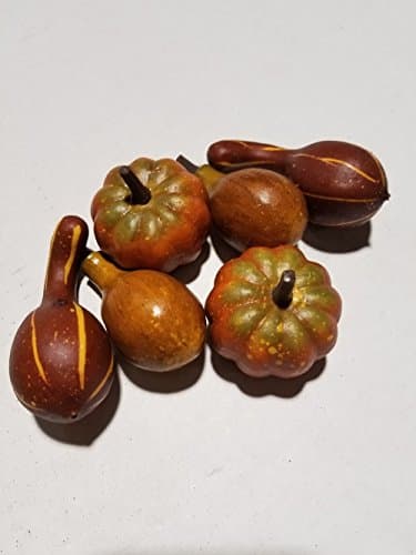 Mini Decorative Realistic Fall Pumpkins And Gourds - Pack Of 6 Perfect For Decorating, Crafts, Bowl Fillers, Fall, Autumn, Weddings