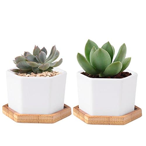 WITUSE ceramic big hexagon succulent plant pot/office flower pots/catus pots with wooden saucers- 2 sets