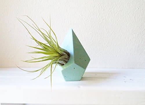 Geometric teardrop mini planter , air plant holder