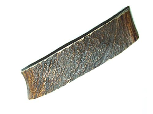 Medium Alaska Moose Antler Chew For Dogs