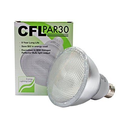 15W CFL PAR30 Fluorescent 6500K Daylight (65W Equivalent)