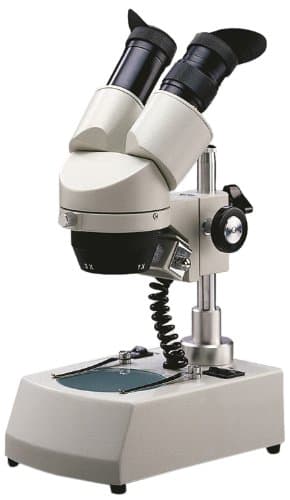National Optical 448TBL-10 Compact Binocular Stereo Microscope, WF10x Eyepieces, 10x and 20x Magnification, 1x and 2x Objectives, Upper and Lower Tungsten Illumination, Fixed Stage, 120V