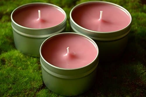 Pomegranate Grapefruit Soy Candle Tin with Lid