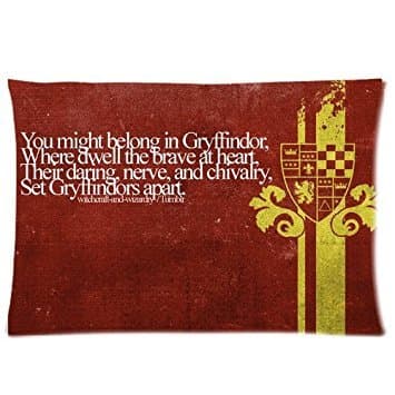 Every New Day Harry Potter Gryffindor Unique Custom Zippered Pillow Cases 20x30 inches(50x75cm) (Two sides)