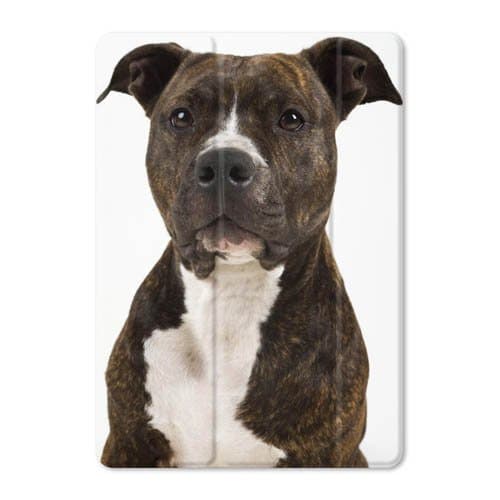 Attractive Folding Stand Cover Case Shockproof Tablet Pictures Auto Wake Sleep Customize For iPad Mini Air Pro