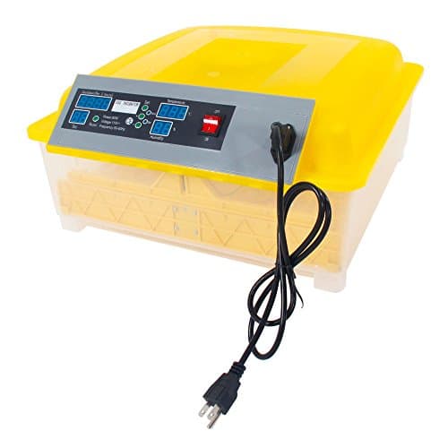 48 igital Clear Egg Incubator Hatcher Temperature Control Automatic Egg Turning