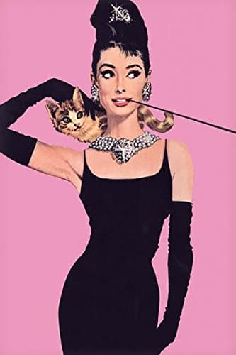 NMR PP31117 Audrey Pink Decorative Poster