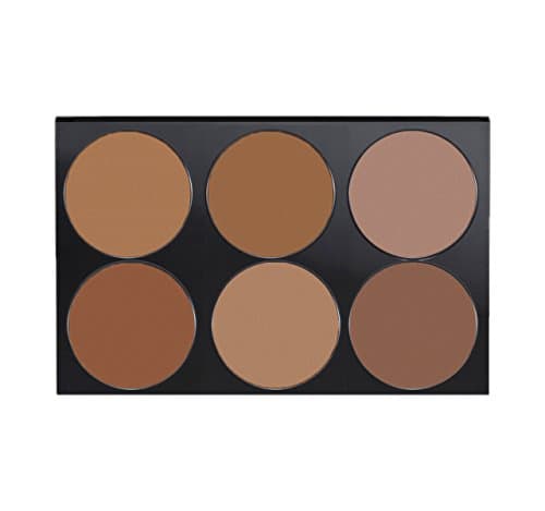 AVAS Prefect Touch Total Coverage Foundation Palette