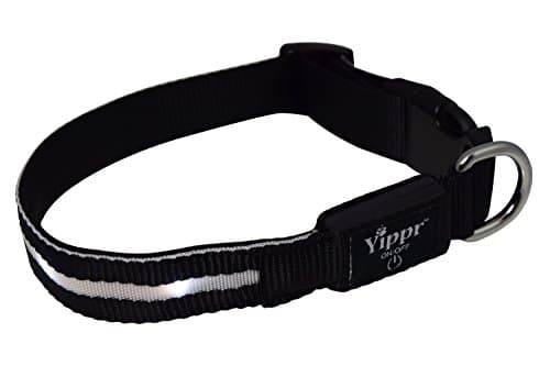 Yippr Classic LED Dog Collar USB Rechargeable Led Lighted Dog Collar with 4 Settings - Increase Visibility, Safety Collar, Night Use with Ultra Bright Blinking, Light Up Nylon Flashing Pet Collar