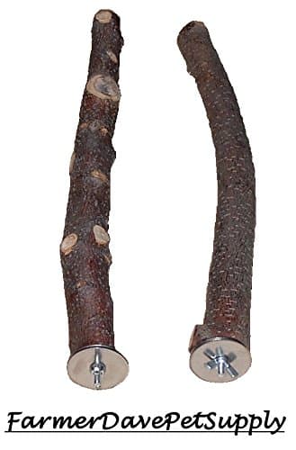 2 APPLE PET CHEWS &amp; BIRD PERCHES,1 x10