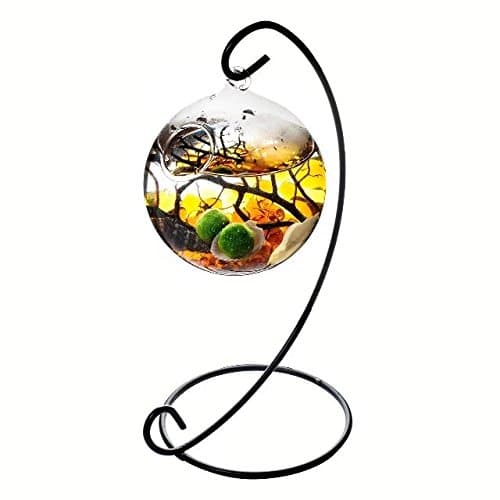 Table Aquarium Kit - 2 x 10 mm Aquatic Living Moss Balls Small Stones of Glass Black Fan Coral Branch in a 3.5" Hanging Orb Terrarium with Bent Metal Stand