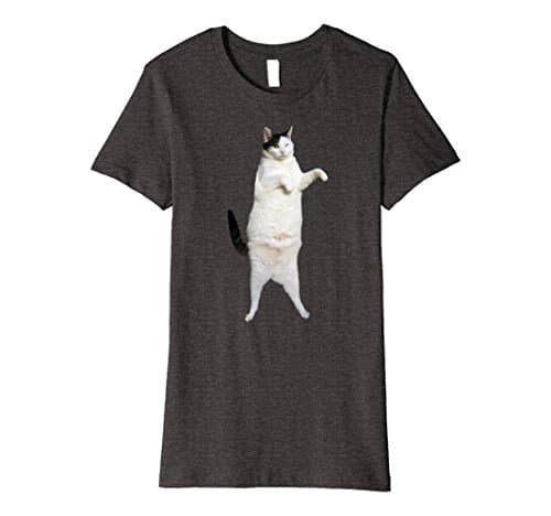 Womens Kitty Cat Dance Shirt Small Dark Heather