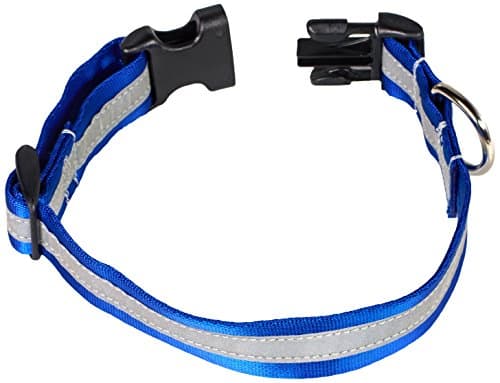 Petflect Reflective Adventure Play Collar, Royal Blue/Silver, Medium