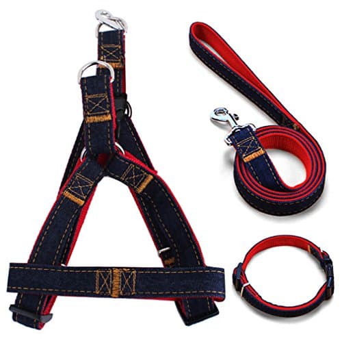 Adjustable Pet Puppy Vest Collar Leash,Best for Training Walking Hikin Leash Collar Set for Medium Small Large Dog(Blue Small)