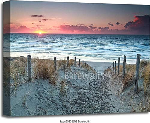 Barewalls Sand Path to North Sea Beach Before Sunset Gallery Wrapped Canvas Art (20in. x 24in.)
