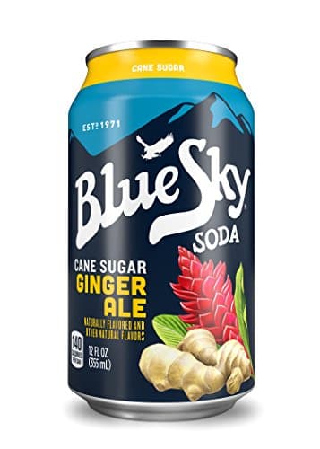 Blue Sky Cane Sugar Soda (Ginger Ale, 12 Ounce, Pack of 24)