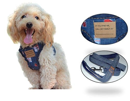 Dog Harness Christmas No Pull No Choke Dog Harness &amp; Leash Set for Small Dog, Adjustable, With Pet Tag, Perfect for Training, Walking Pawya (Small)