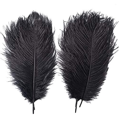 Coceca 24PCS Black Ostrich Feathers 10-12inch 25-30cm for Wedding Party Home Decoration DIY Craft (24 pcs)