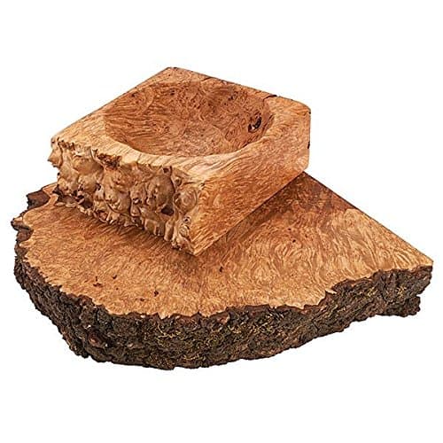 Big Leaf Maple Burl 2.5" x 10" x 10"