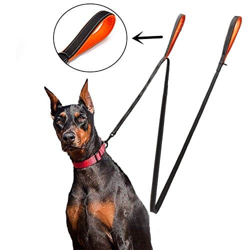 6 Feet Nylon 2 Dog Leash with Double Handles, Heavy Duty with Dual Handles Dog Leashes for Large and Medium Dogs(BLACK)