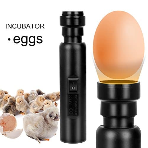 ZackX Safe LED Egg Candler Tester, Bright High Intensity Incubators Lamp For Hatching Eggs Quail Poultry US Plug