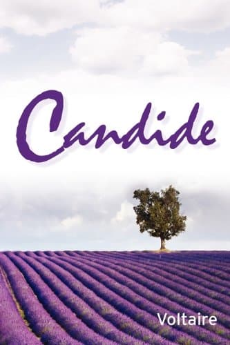 Candide Paperback – 18 Aug. 2010