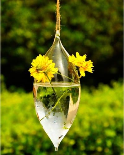 Olive Shape 2 Hole Glass Flower Hanging Vase Bottle Container Home Garden Decor