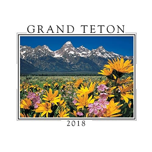 2018 Grand Teton Mini Wall Calendar