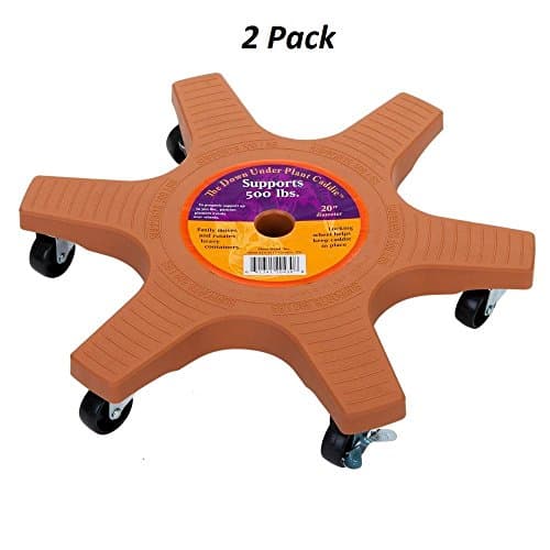 20 in. Terra Cotta Plastic Down Under Plant Caddie (2)