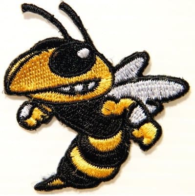 GEORGIA TECH NCAA University Team Logo Sign Patch Iron on Applique Embroidered Sew Gift BY SURAPAN