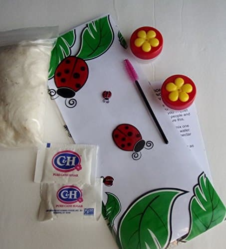 2 Hand Held Hummingbird Feeders Gift Set