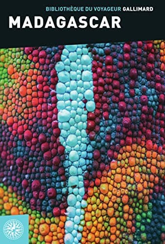 Madagascar Paperback – 14 Nov 2019