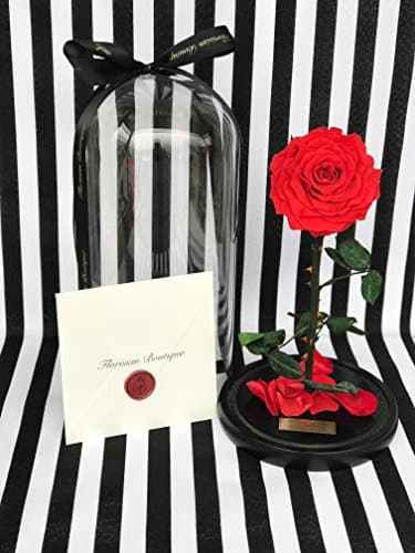 Life Size 11" Real "Enchanted Rose" That Will Last Up To 5 Years In A Luxury Glass Dome Inspired By Beauty And The Beast, Belle Rose, Forever Rose