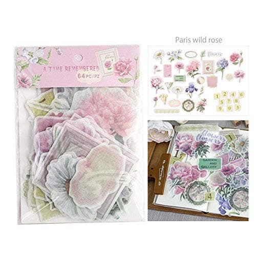 VANGOAL 64 PCS Ephemera Pack, Multiple Themes Retro Style Self Adhensive DIY Note Stickers for Notebooks, Greeting Card, Photo Frame, Cup, Phone Case, Scrap Book (Paris Wild Rose)