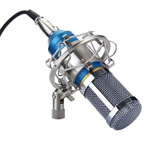 Padraig Studio Mic Dynamic Mic Cardioid Vocal Multi-Purpose Metal Microphone (Blue)